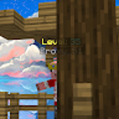 PrivateMan and Proxy