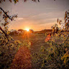 Lorenzo FONTAN-CABIBBO