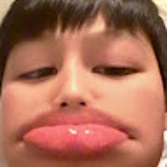 Ngao Rong