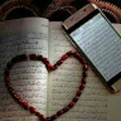 رشا رفعت حابك