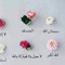 Aasha Ahmed