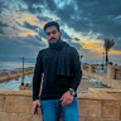 Tarek Walid