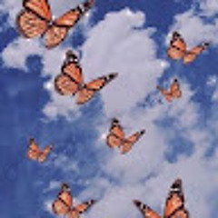 Emilia cleotilde Rosas