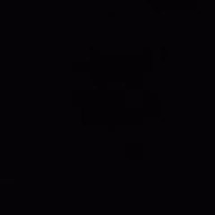 STEVEN HARRIS TRI MULIA