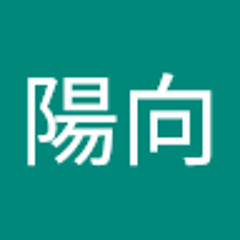 中本陽向