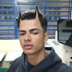 Gabriel de almeida Sena