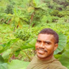apakuki tausere