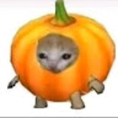 liên qui