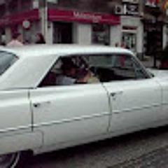mackowski81