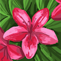 User 312999075