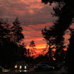 Ніка Іщенко