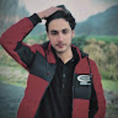 Haidar Ali