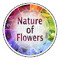 Quentin Natureofflowers
