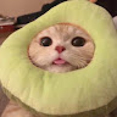 박채원
