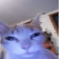 Luca