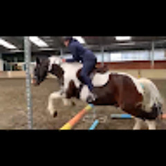 User Odyssée Meurillon