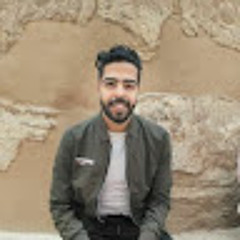 Ahmed M. Abdelfattah