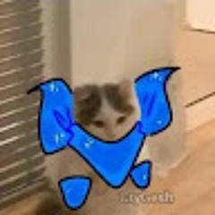 Ayuyu