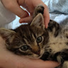 Оля Кучерявенко