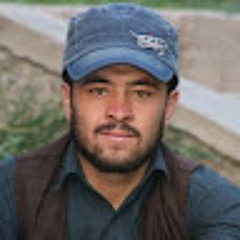 Sayed Farid ahmadi