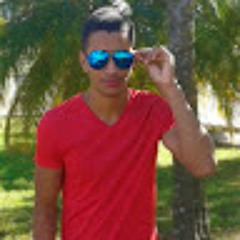 Gabriel ferreira alves