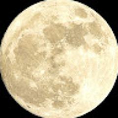 Luanda Figueirêdo Gomes