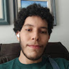 João Pedro Araújo Santos