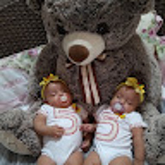 mãe de princesas Ferreira