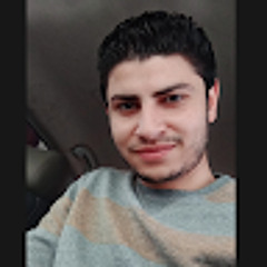 Ahmed Nour el deen