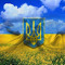 Вова Комаринський