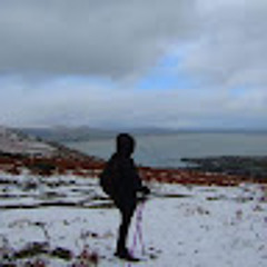 Roisin Morrison bell