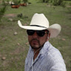 Arturodejesusvallingonzalez