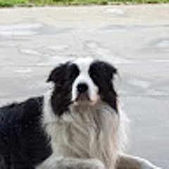 Tomas De Bast