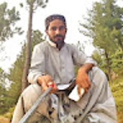Gul Chandio Baloch
