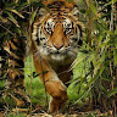 karthikeyan.d   karthikeyan.d