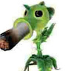 Joe