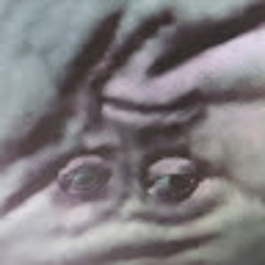 Lukys Lingle