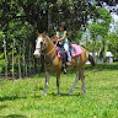 Cristhian Vega Villalobos