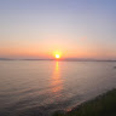 메시보룩네딱북딱