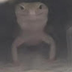 화난도마뱀
