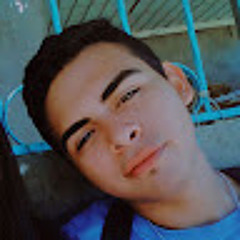 ramon villalobos