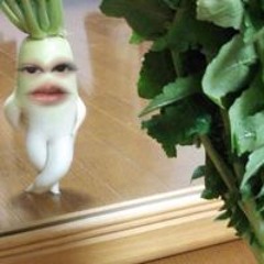 Imp Wachirapha