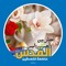 Leen Osama