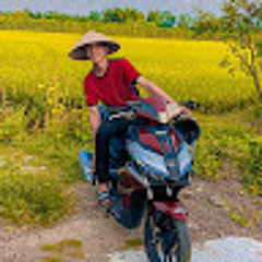 vinh Not Dinh