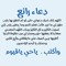 Tarek Saeid