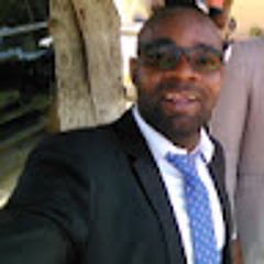 Domingos Vieira Hebo