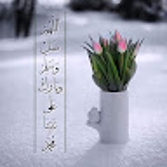 Zeaid Saaed