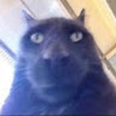 Марк Чокопай