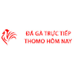 Đá Gà Trực Tiếp Thomo Nay