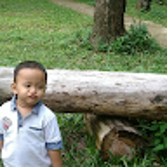 Hery Cargo